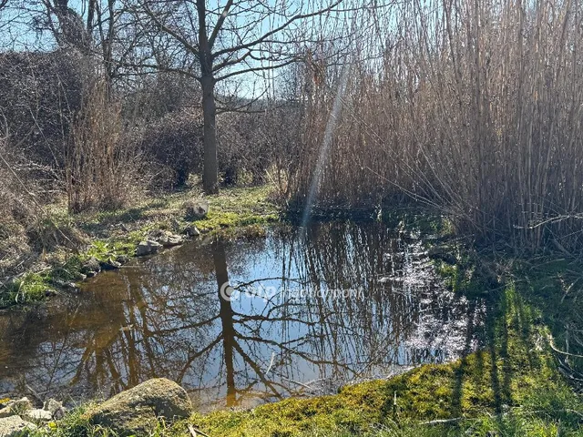 Eladó ház Vértesacsa 180 nm