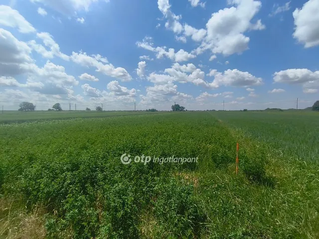 Eladó telek Pusztaszabolcs 500 nm
