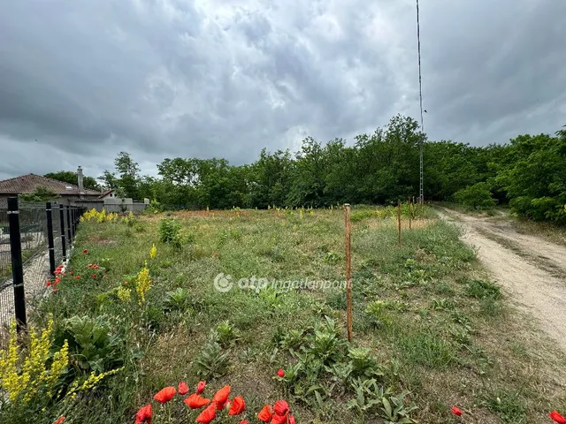 Eladó telek Délegyháza 935 nm