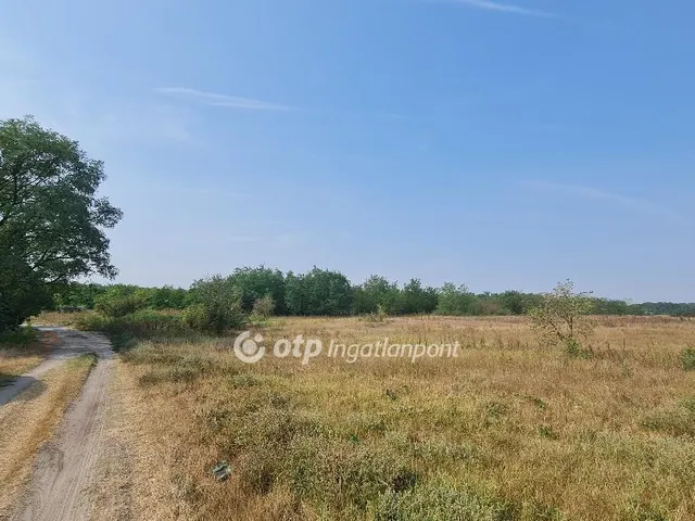 Eladó mezőgazdasági ingatlan Szabadszállás 15207 nm