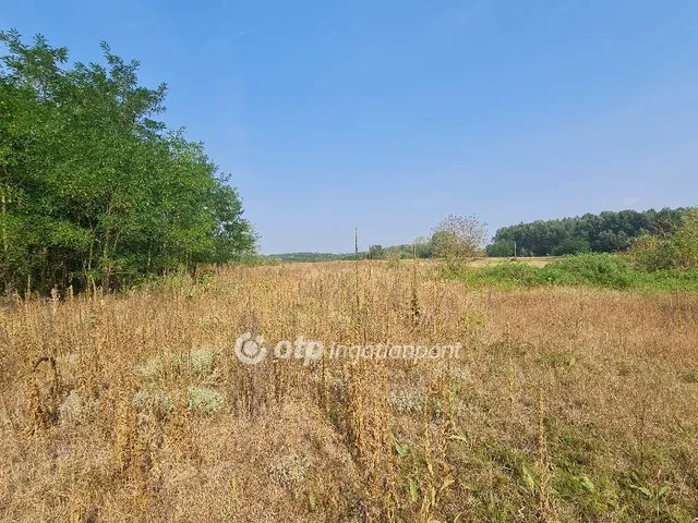 Eladó mezőgazdasági ingatlan Szabadszállás 15207 nm