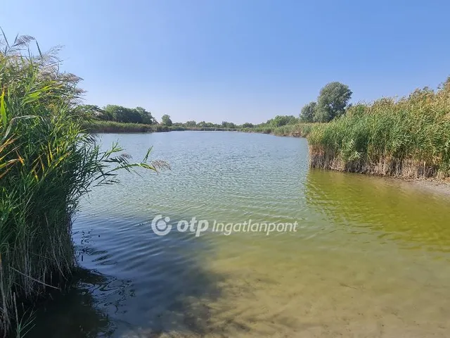 Eladó telek Dunapataj 20 nm