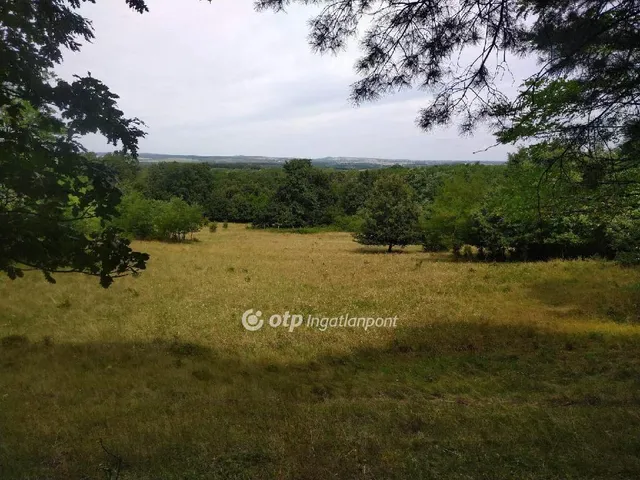 Eladó mezőgazdasági ingatlan Bakonyszentlászló 45490 nm