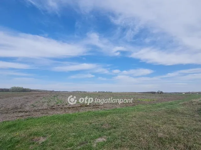 Eladó mezőgazdasági ingatlan Lajosmizse 95365 nm