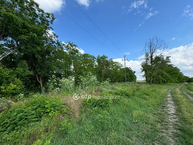 Eladó mezőgazdasági ingatlan Ordas, Külterület 3919 nm