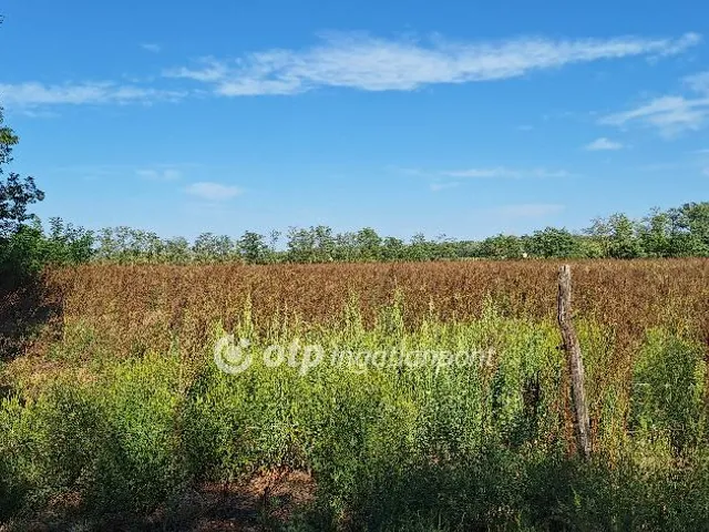 Eladó mezőgazdasági ingatlan Kaskantyú 28845 nm