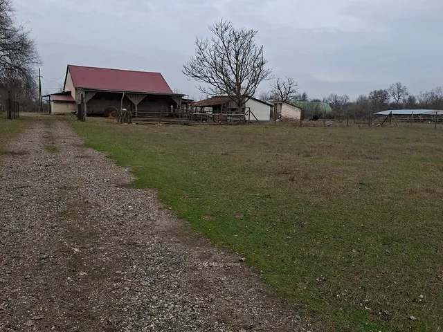 Eladó mezőgazdasági ingatlan Szabadszállás 5000 nm