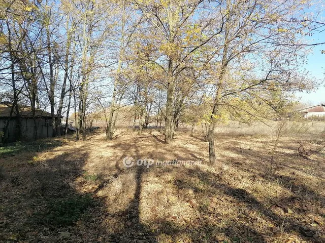 Eladó mezőgazdasági ingatlan Kiskőrös 20 nm