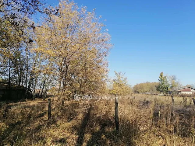 Eladó mezőgazdasági ingatlan Kiskőrös 20 nm