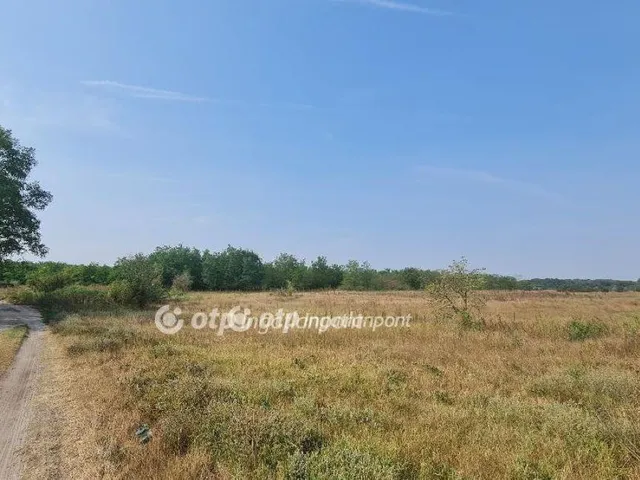 Eladó mezőgazdasági ingatlan Szabadszállás 15207 nm