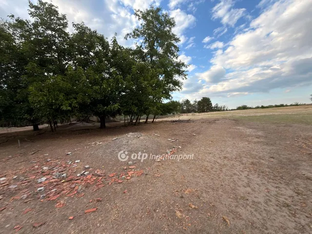 Eladó telek Tázlár 11164 nm
