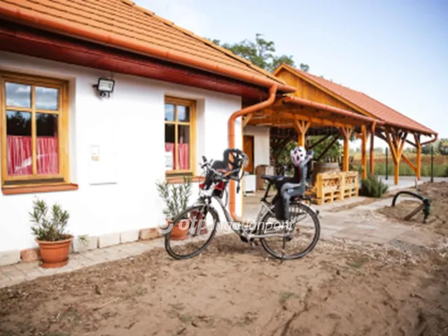 Eladó mezőgazdasági ingatlan Kecel 87 nm