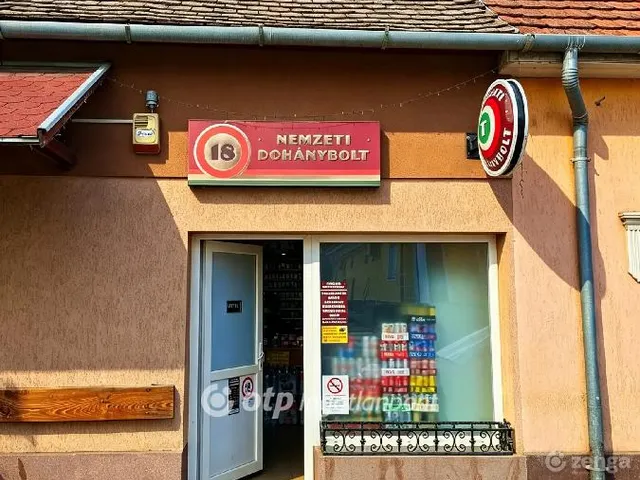 Eladó kereskedelmi és ipari ingatlan Szabadszállás 96 nm