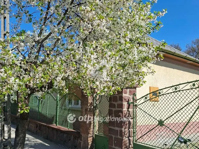 Eladó ház Szabadszállás 143 nm