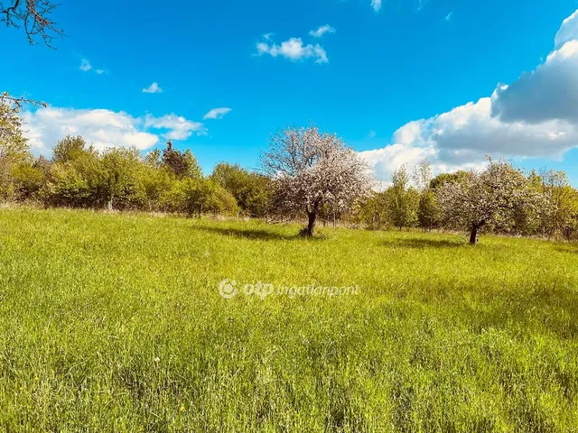 Eladó telek Ispánk, Őrség 1178 nm