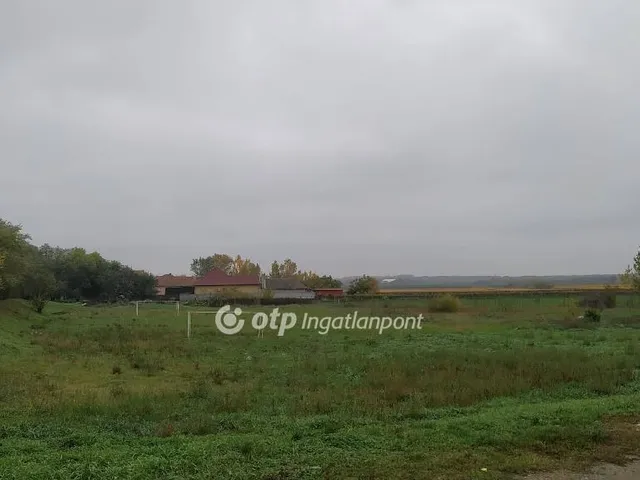 Eladó telek Egyek, Tiszafüredi Főcsatorna közelében 311 nm