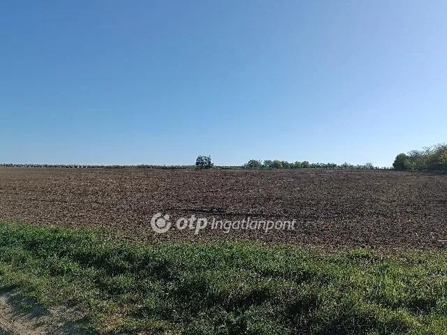 Eladó mezőgazdasági ingatlan Érd 13127 nm