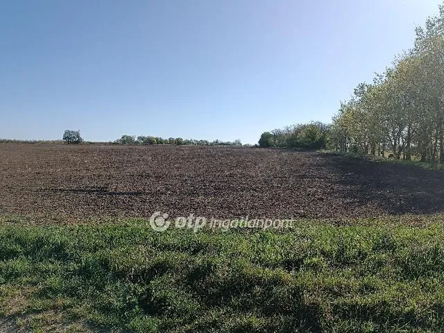 Eladó mezőgazdasági ingatlan Érd 13127 nm