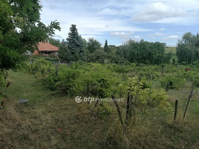 Eladó telek Küngös, Falu széle, buszmegállónál 2338 nm