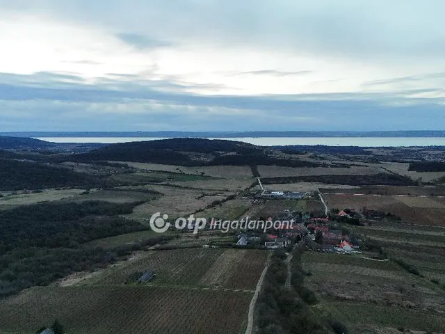 Eladó mezőgazdasági ingatlan Szentjakabfa 9500 nm