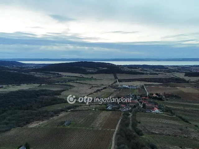 Eladó mezőgazdasági ingatlan Szentjakabfa 9500 nm