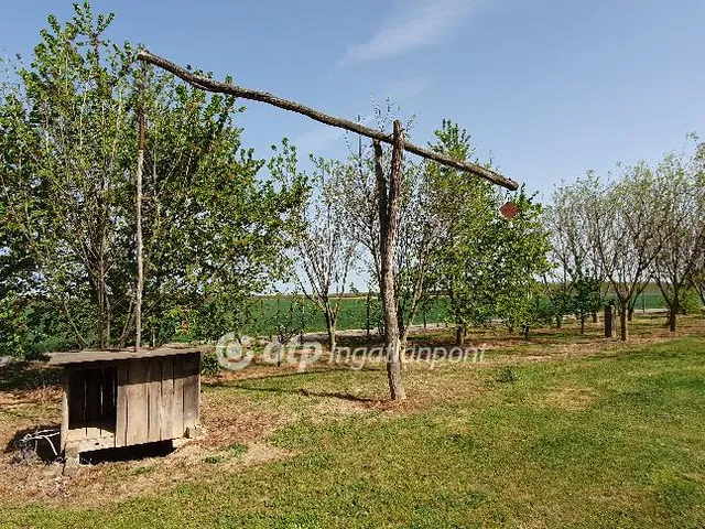 Eladó mezőgazdasági ingatlan Kisszőlős 28187 nm