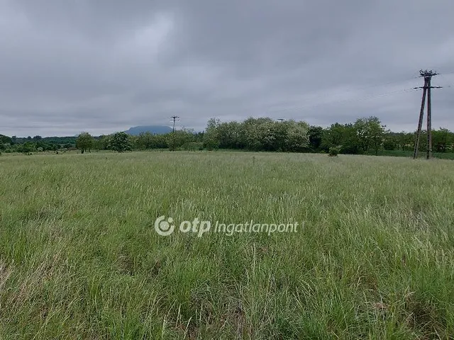 Eladó mezőgazdasági ingatlan Tapolca 63000 nm
