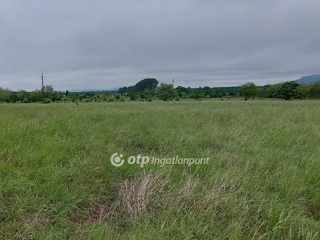 Eladó mezőgazdasági ingatlan Tapolca 63000 nm