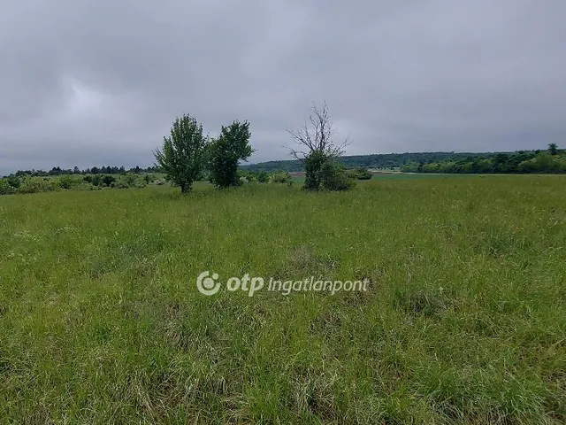 Eladó mezőgazdasági ingatlan Tapolca 63000 nm