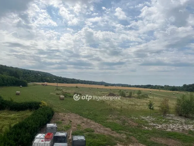 Eladó mezőgazdasági ingatlan Rezi 536 nm
