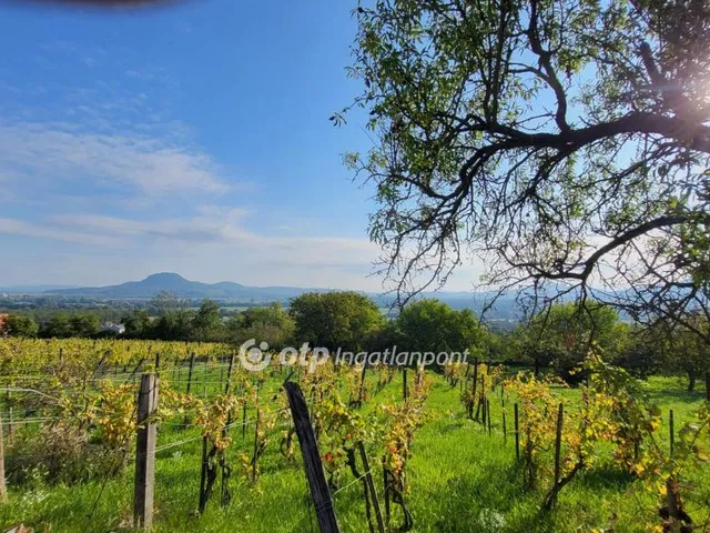 Eladó telek Kisapáti 2698 nm