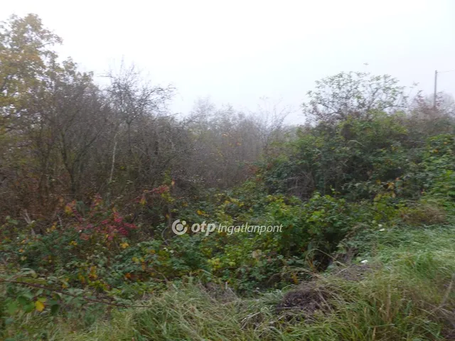 Eladó telek Zalahaláp 6124 nm