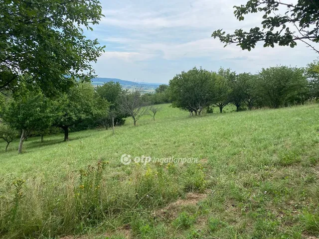 Eladó telek Köveskál 5464 nm