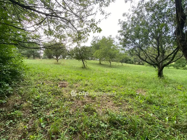 Eladó telek Köveskál 5464 nm