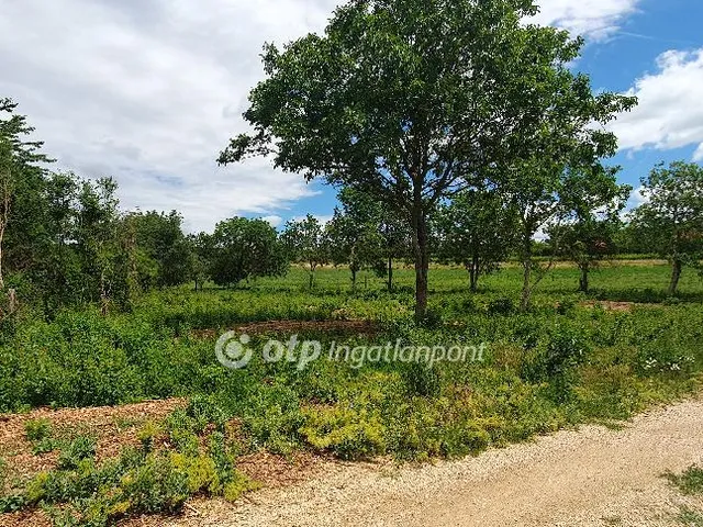 Eladó telek Felsőörs 2590 nm