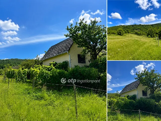 Eladó telek Szőc 2134 nm