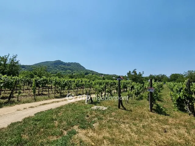 Eladó telek Kisapáti 3000 nm