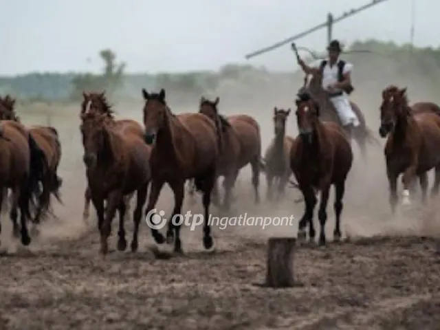 Eladó telek Móricgát, Felső Móricgát 6000 nm