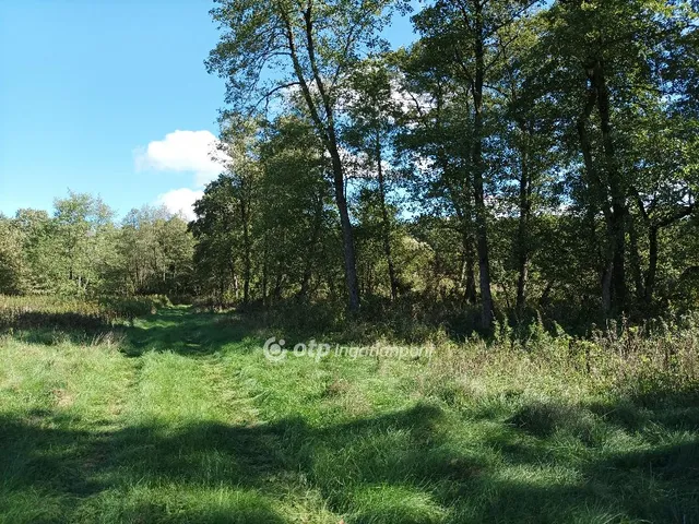 Eladó mezőgazdasági ingatlan Csabrendek, csendes 112764 nm