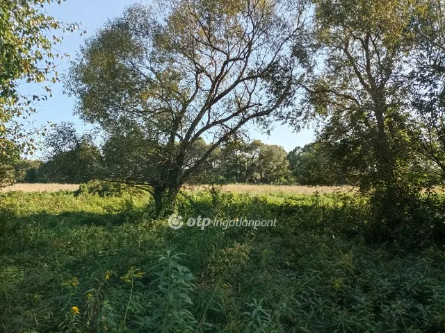 Eladó mezőgazdasági ingatlan Csabrendek 112764 nm