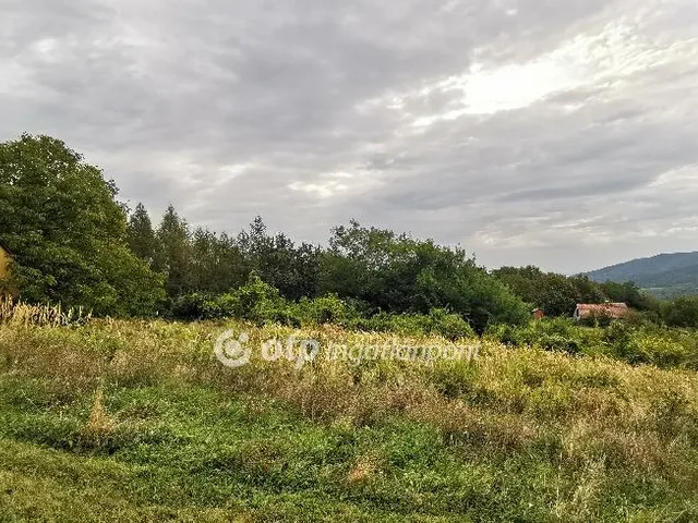 Eladó mezőgazdasági ingatlan Várvölgy 40 nm