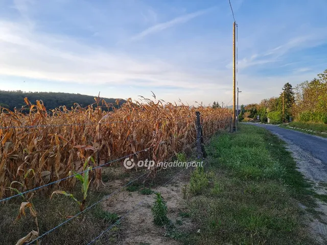 Eladó telek Vállus 10983 nm