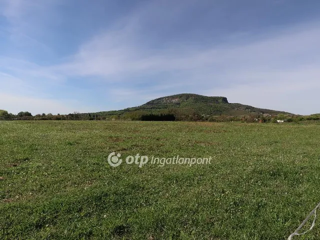 Eladó mezőgazdasági ingatlan Badacsonytomaj 7739 nm