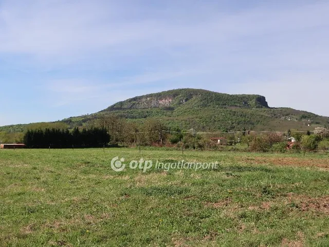 Eladó mezőgazdasági ingatlan Badacsonytomaj 7739 nm