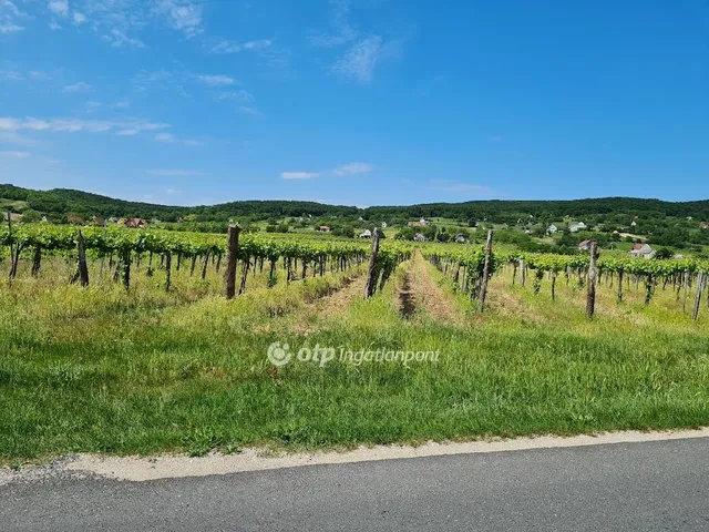 Eladó mezőgazdasági ingatlan Tagyon, Külterület 4411 nm