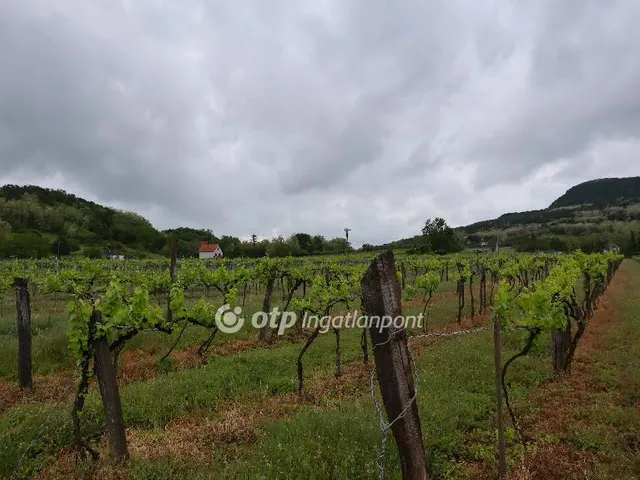 Eladó mezőgazdasági ingatlan Nemesgulács 3071 nm