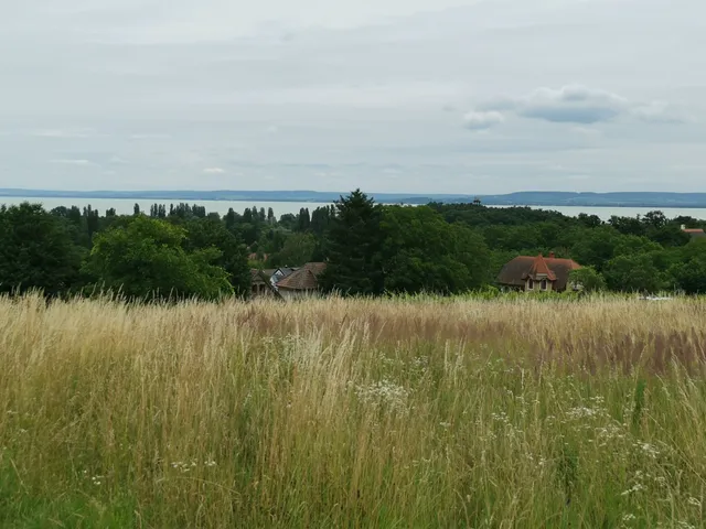 Eladó mezőgazdasági ingatlan Ábrahámhegy 3000 nm