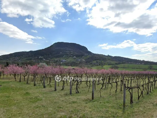 Eladó telek Tapolca 13516 nm