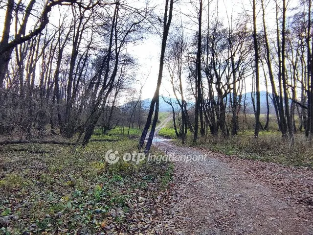 Eladó mezőgazdasági ingatlan Zalaszántó 90361 nm