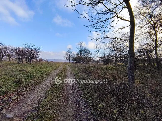 Eladó mezőgazdasági ingatlan Zalaszántó 90361 nm